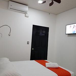 Habitación Deluxe con Cama King